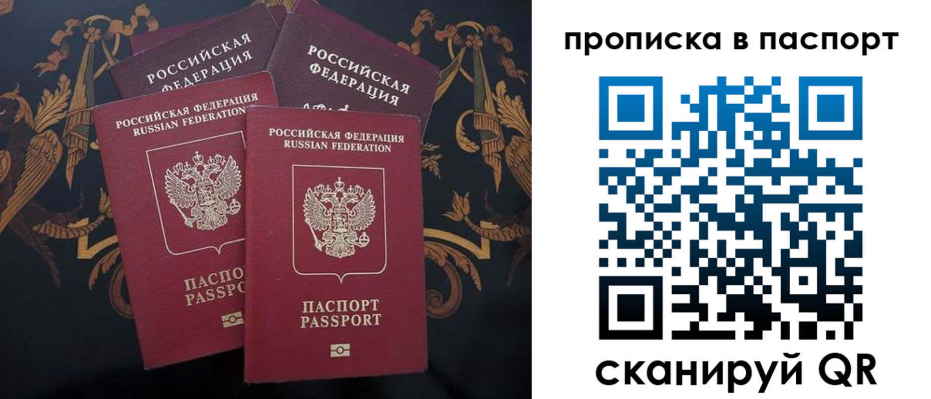прописка паспорт в Александровске